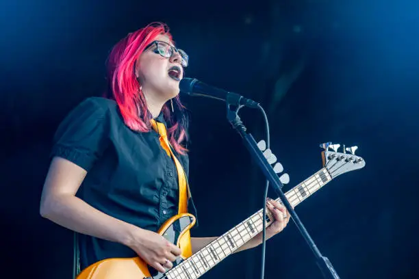 Photo of Female Bassist and Signer Performing Live