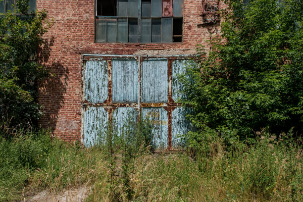 istock old abandoned building among the trees 1330032392