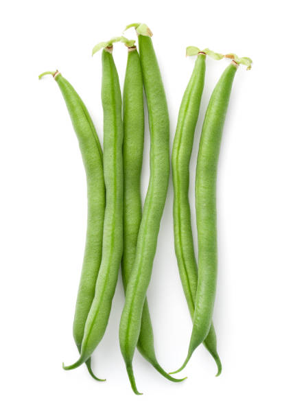 haricots verts isolés sur fond blanc - green bean photos et images de collection