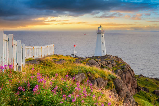 watching the sunrise at cape spear lighthouse in st. johns, newfoundland - canadian beach imagens e fotografias de stock