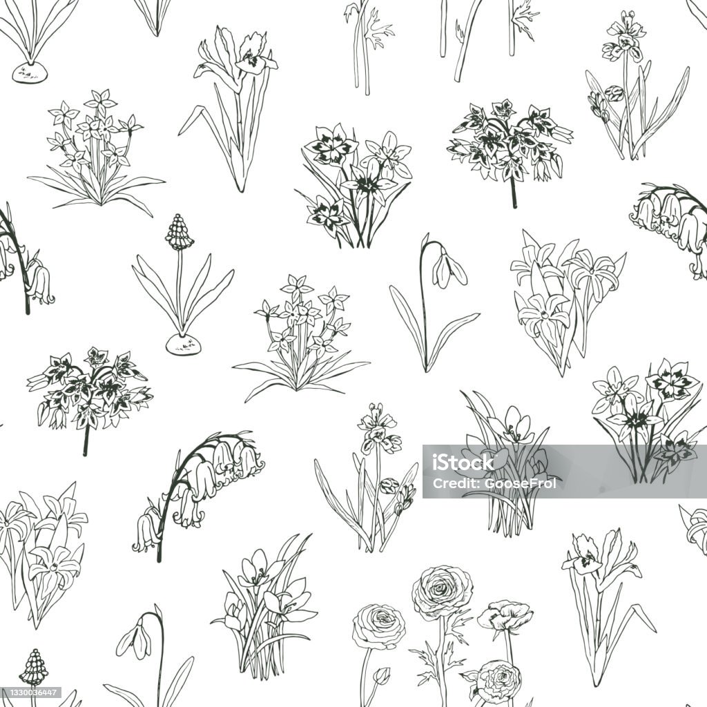 Spring Flowers Vector Seamless Line Graphic Pattern Stock Illustration ...