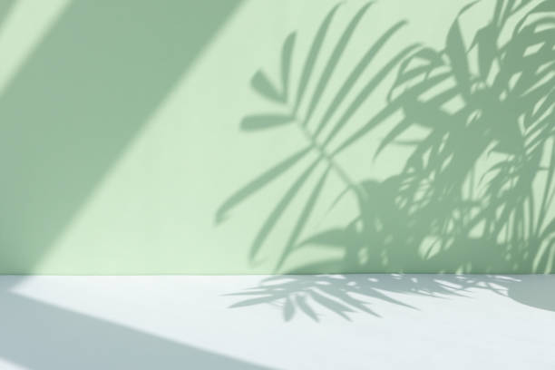 istock Premium podium with a shadow of tropical palm leaves on a pastel green wall and gray table. Showcase, display case. 1330040407