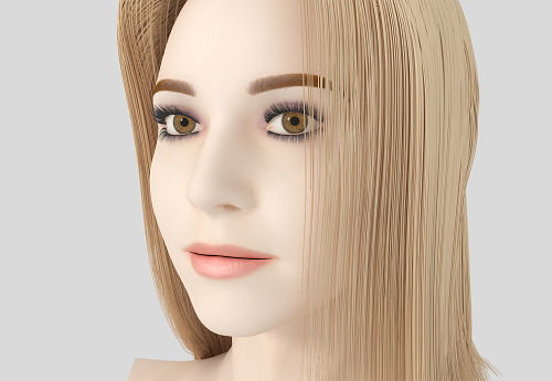 Three-dimensional model of a woman's head rendered in a 3D program