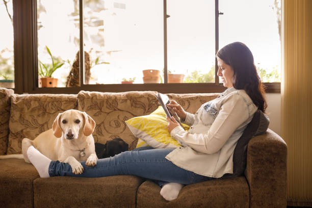 istock Woman using a digital tablet next to her dog 1330044487