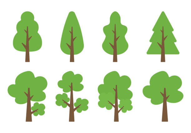 illustrazioni stock, clip art, cartoni animati e icone di tendenza di collezione alberi in design vettoriale piatto - tree