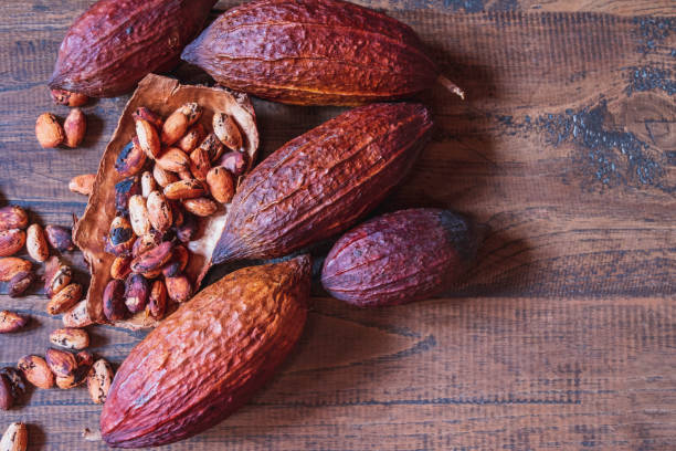 istock Dried cocoa fruit and dried cocoa beans on old wooden background 1330046509