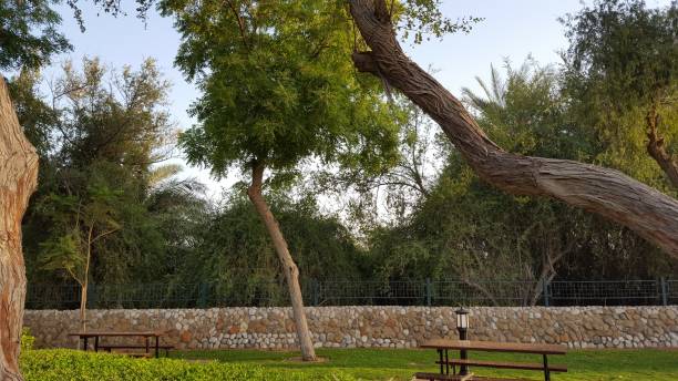 istock Dubai Canal and Liwa desert 1330047426