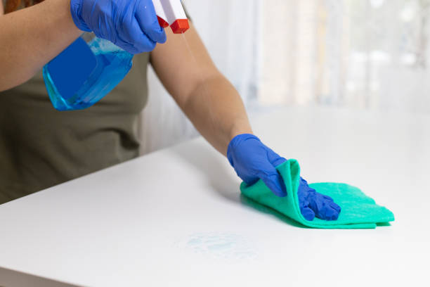 close up view of woman clean house or restaurant. a girl in rubber gloves wiped the dust with spray and a blue cloth to clean the dirty table. - home economics class imagens e fotografias de stock