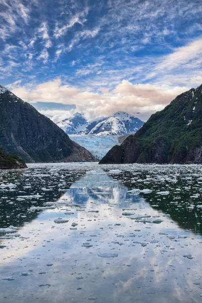 ghiacciaio sawyer nel fiordo di tracy arm - alaska landscape scenics wilderness area foto e immagini stock