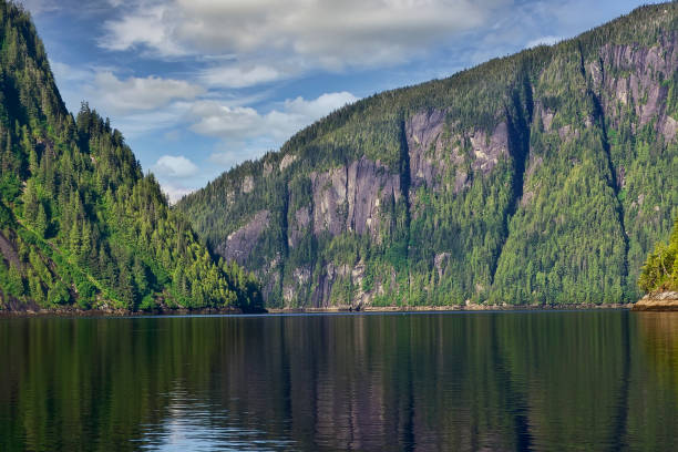 istock Misty Fjord Cliffs in Alaska 1330052199
