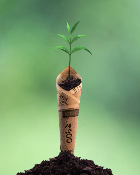 istock Plant growing with bank note on soil 1330052262