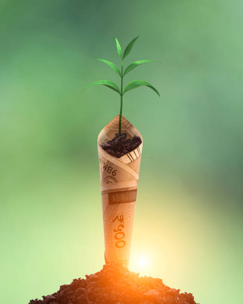 Plant growing with bank note on soil stock photo
