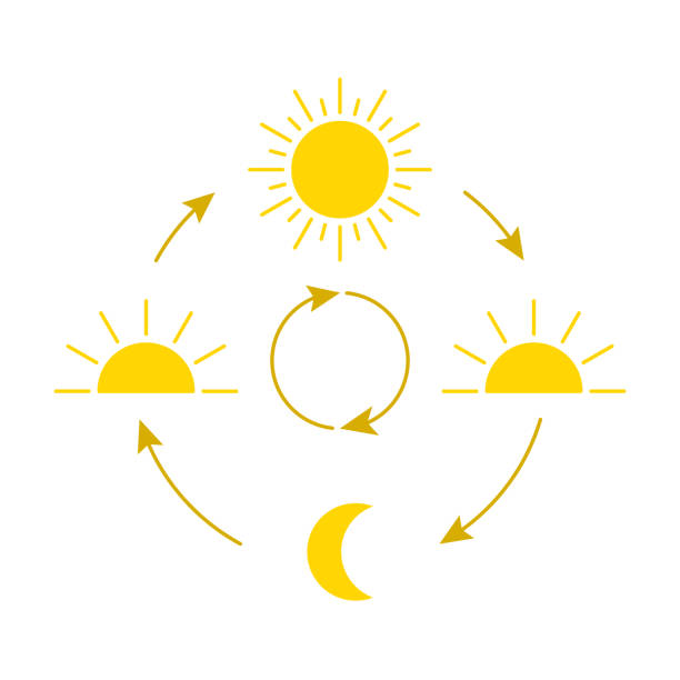 ilustrações de stock, clip art, desenhos animados e ícones de change day and night cycle, movement path sun and moon icon. clock with the time of day. circle with arrow sun and moon. vector sign - night piece