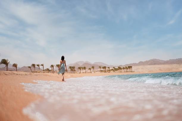 mujer joven camina descalza a lo largo de la orilla del mar - one person beautiful barefoot beach fotografías e imágenes de stock