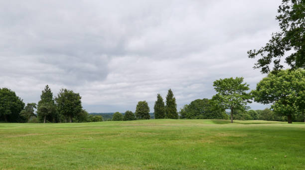 istock Grass field and trees beyond below pale grey sky 1330057613