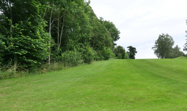 istock View of grassy hill with trees behind 1330057839