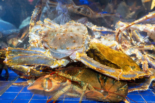 istock Fresh seafood King Crab and Lobster 1330062878