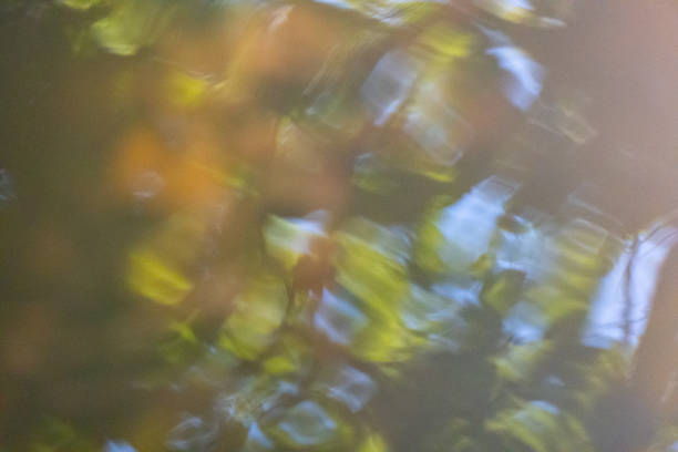 istock Blured backdrop. Sunny summer garden with green grass, beautiful sun light and blured water drops 1330065277