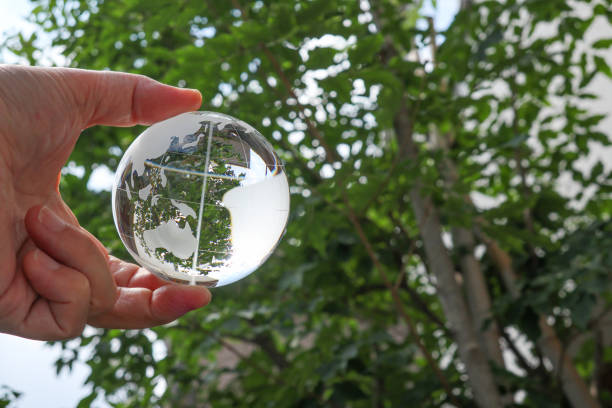 istock glass globe and the green leaves 1330066746