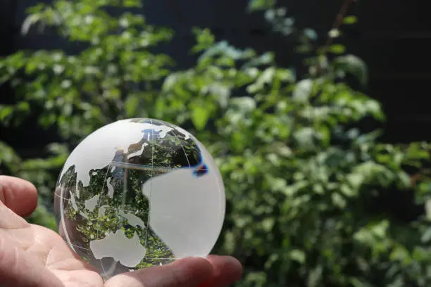 glass globe and the green leaves