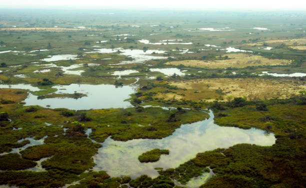 istock Natural Wonders - Panoramic View of the Okavango Delta - Botswana 1330069350