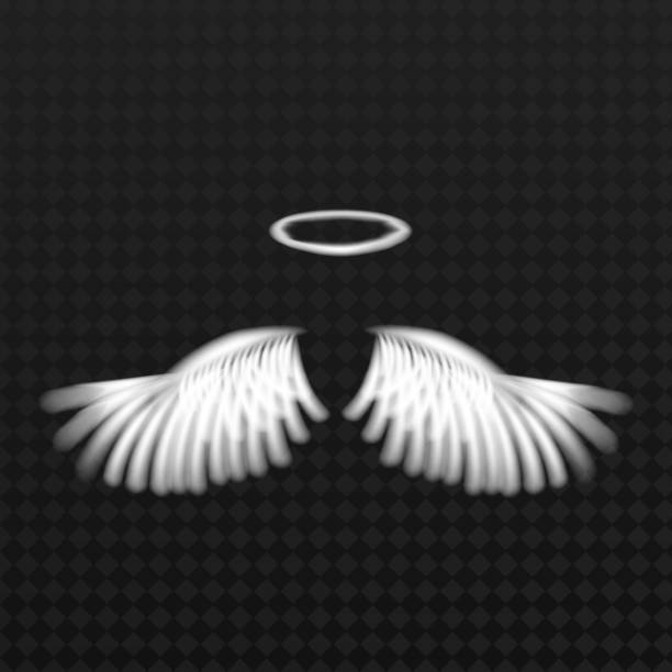 istock Abstract symmetry bird wings line luxury white color isolated on dark background. 1330069551