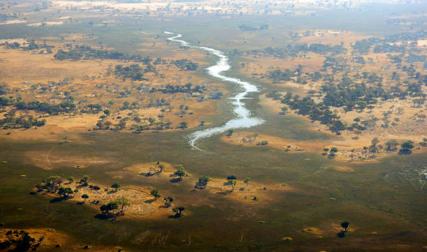 istock Panoramic view of the Okavango Delta - Botswana 1330069621