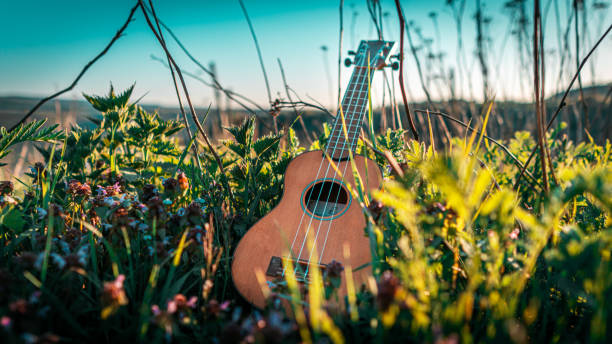 ukulele in einem feld - uke stock-fotos und bilder