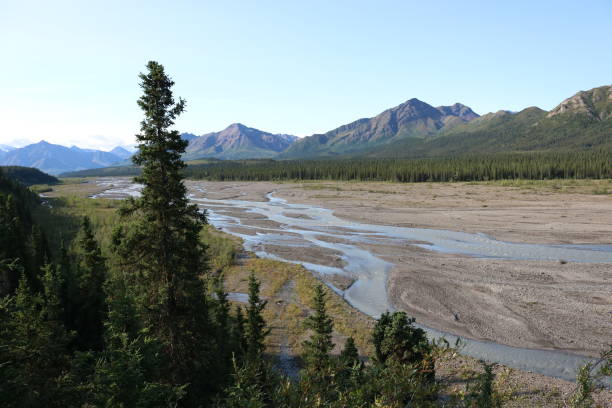 istock River - Denali National Park 1330074416