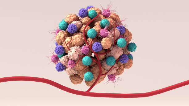 Tumor microenvironment, normal cells, molecules, and blood vessels that surround and feed a tumor cell. Microenvironment can affect how a tumor grows and spreads. Tumor microenvironment, normal cells, molecules, and blood vessels that surround and feed a tumor cell. Microenvironment can affect how a tumor grows and spreads. cancer cell photos stock pictures, royalty-free photos & images