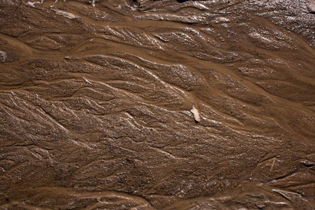 texture de sable avec des lignes ondulées et des jets d’eau dans des couleurs chaudes. surface de sable après la pluie - ridé surface solide photos et images de collection
