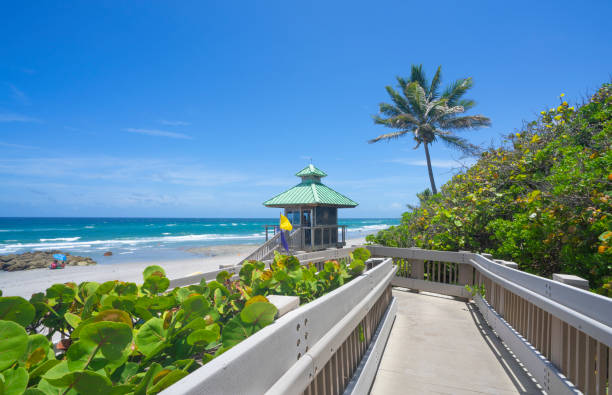 sentier en bois vers la belle plage de floride. - beach florida atlantic ocean wave photos et images de collection