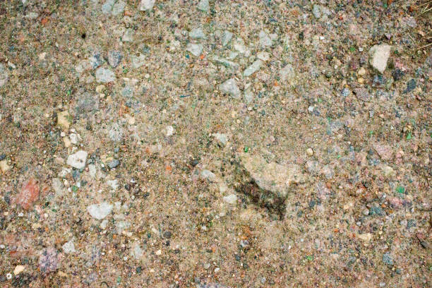 istock Texture Of Dusty Soil With Debris 1330075648