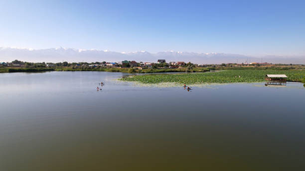 istock People swim on sup boards in a pond with lotuses 1330076504