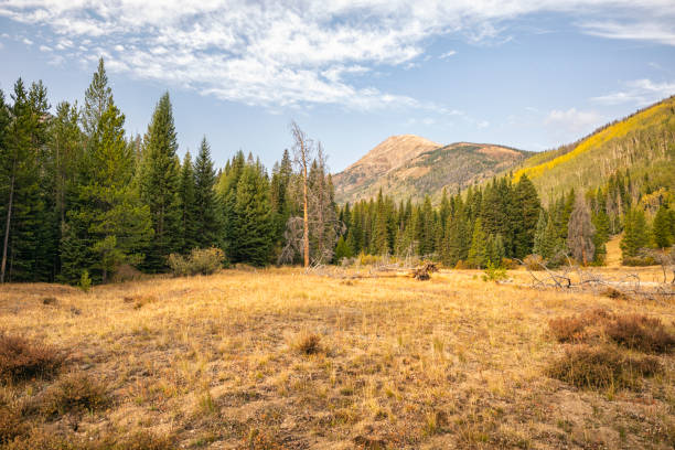 istock Landscape in the Eagles Nest Wilderness, Colorado 1330076742