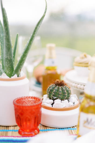 istock side view of cinco de mayo party table 1330077716