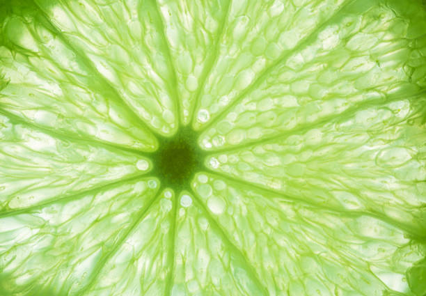 istock macro lemon texture,Macro close up surface texture Juicy slice of lime 1330079189