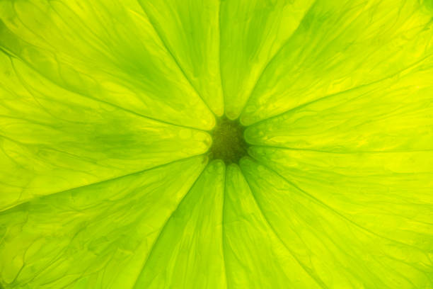 macro lemon texture,Macro close up surface texture Juicy slice of lime