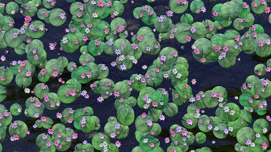 A waterlily blossom in pond nenuphar and water 3D illustration