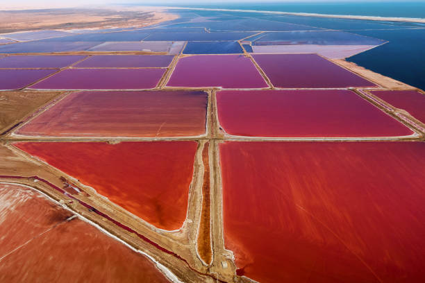 Aerial View of Walvis Bay Salt Flats in Namibia, Africa Aerial view of salt pans at Walvis Bay in Namibia, southwest Africa. swakopmund photos stock pictures, royalty-free photos & images