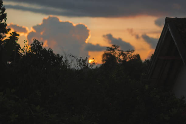 istock Evening sky with dramatic sunset orange Cumulus clouds and tree branches silhouette at countryside. Types of clouds stock images. 1330085626