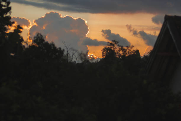 Evening sky with dramatic sunset orange Cumulus clouds and tree branches silhouette at countryside. Types of clouds stock images.