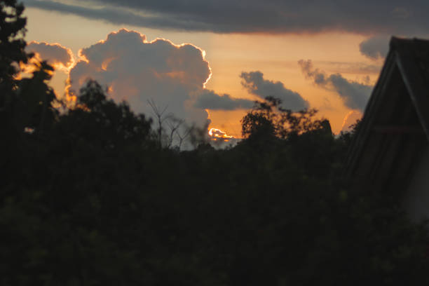 Evening sky with dramatic sunset orange Cumulus clouds and tree branches silhouette against orange sky background in the afternoon. Types of clouds stock images.