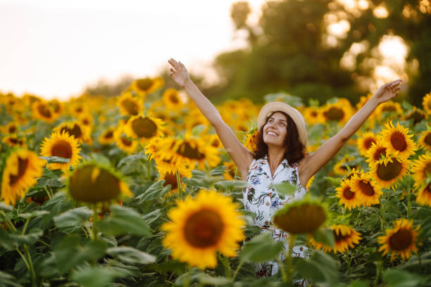 istock Young woman strolling through field with sunflowers at sunset. 1330087911