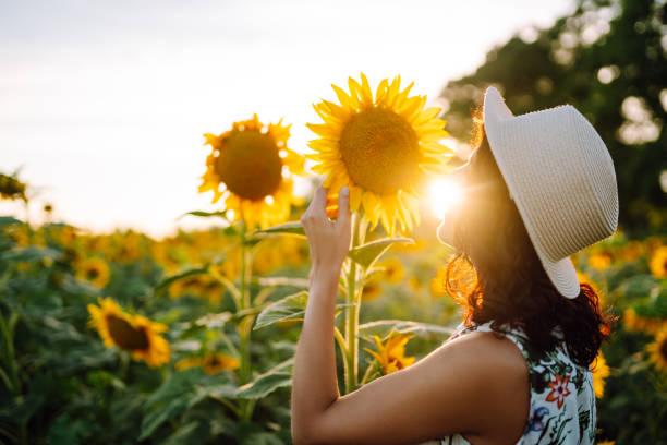 istock Young woman strolling through field with sunflowers at sunset. 1330087933