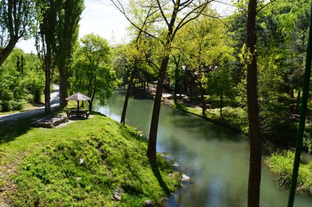 istock landscape of a clean green river 1330088205