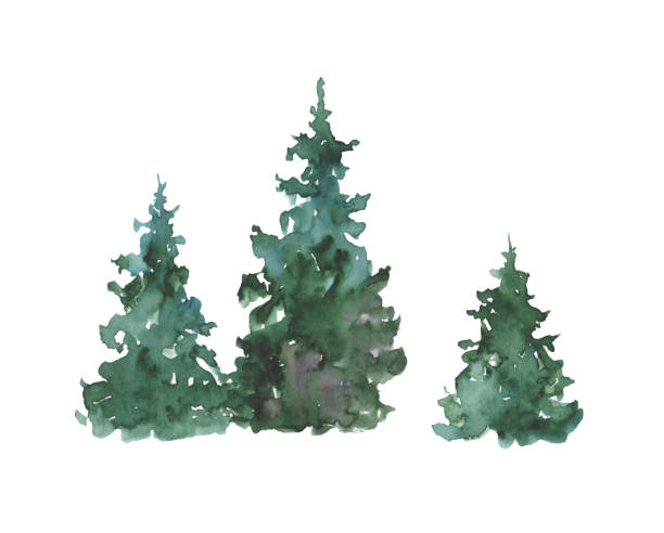 istock Watercolor Christmas tree set. Hand painted Christmas trees on a white background. Festive illustration for design, print, fabric or background. 1330089109