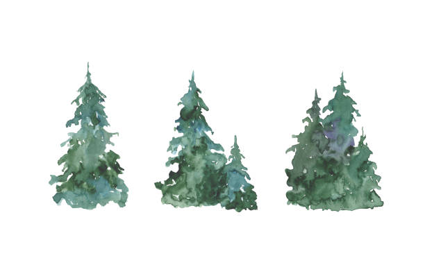 istock Watercolor Christmas tree set. Hand painted Christmas trees on a white background. Festive illustration for design, print, fabric or background. 1330089112