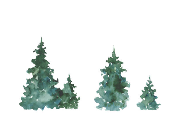 istock Watercolor Christmas tree set. Hand painted Christmas trees on a white background. Festive illustration for design, print, fabric or background. 1330089119