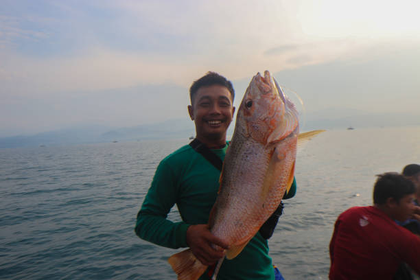 un uomo asiatico che tiene pesce dentice rosso fresco su un tradizionale peschereccio nella baia di pelabuhanratu sukabumi, indonesia. - fish catch of fish seafood red snapper foto e immagini stock